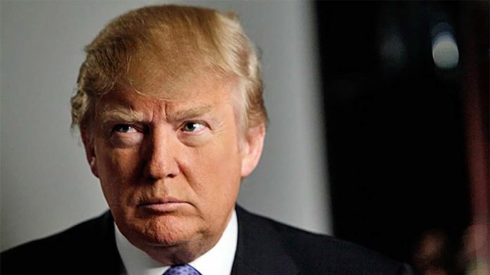 Donald Trump Picture 696x391