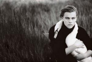 leonardo-dicaprio-picture