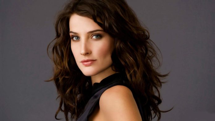 Cobie Smulders image 696x392