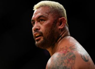 Mark Hunt Image