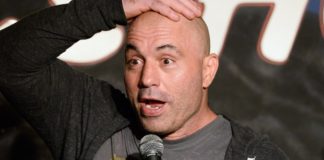 joe rogan Image