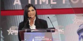 Dana Loesch Pics