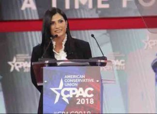 Dana Loesch Pics