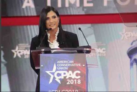 Dana Loesch Pics