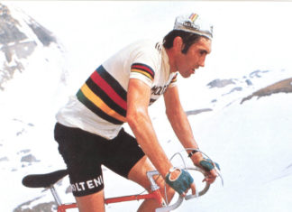 Eddy Merckx Pics