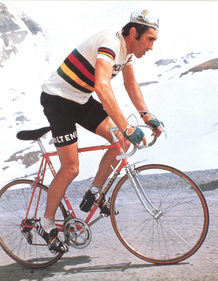 Eddy Merckx Pics 696x896